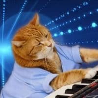 keyboard cat_coin