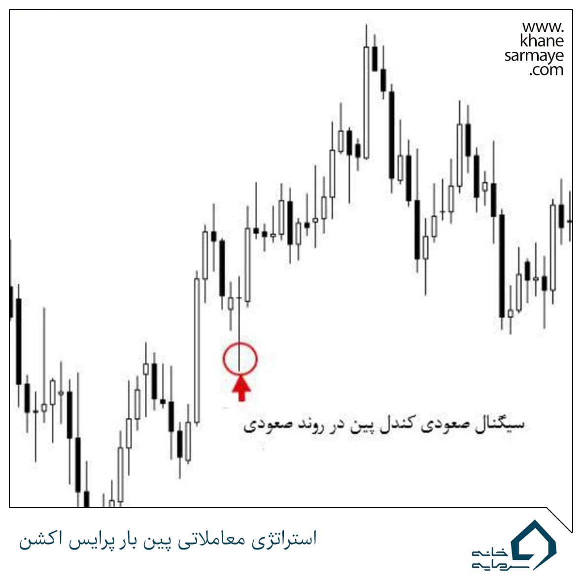 استراتژی معاملاتی پین بار پرایس اکشن