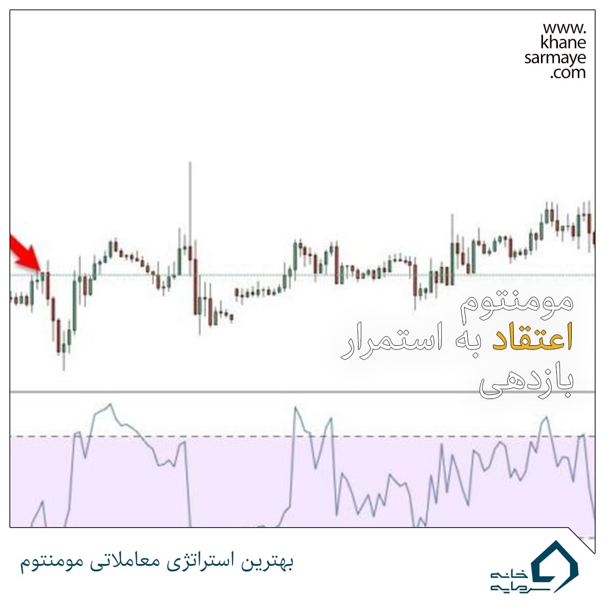 بهترین استراتژی معاملاتی مومنتوم (ویلیام % R)