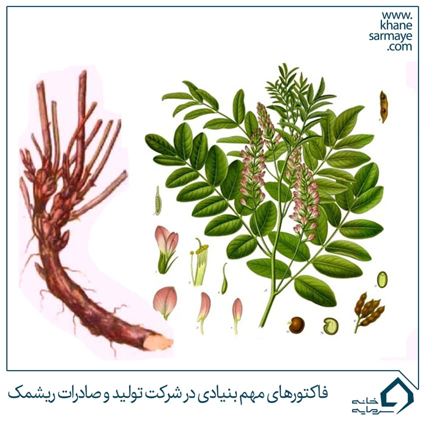 فاکتورهای مهم بنیادی در شرکت تولید و صادرات ریشمک