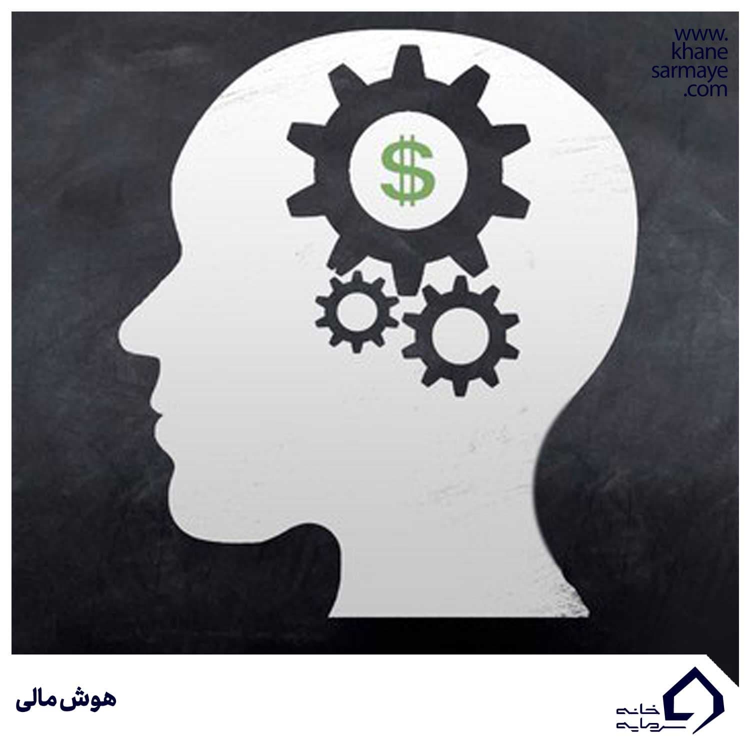 هوش مالی