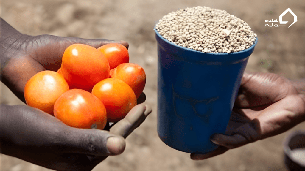 وسیله مبادله (Medium of Exchange)