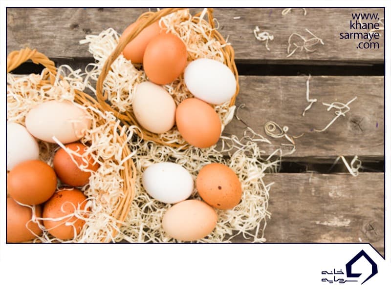 5 روش متداول تشکیل سبد سهام