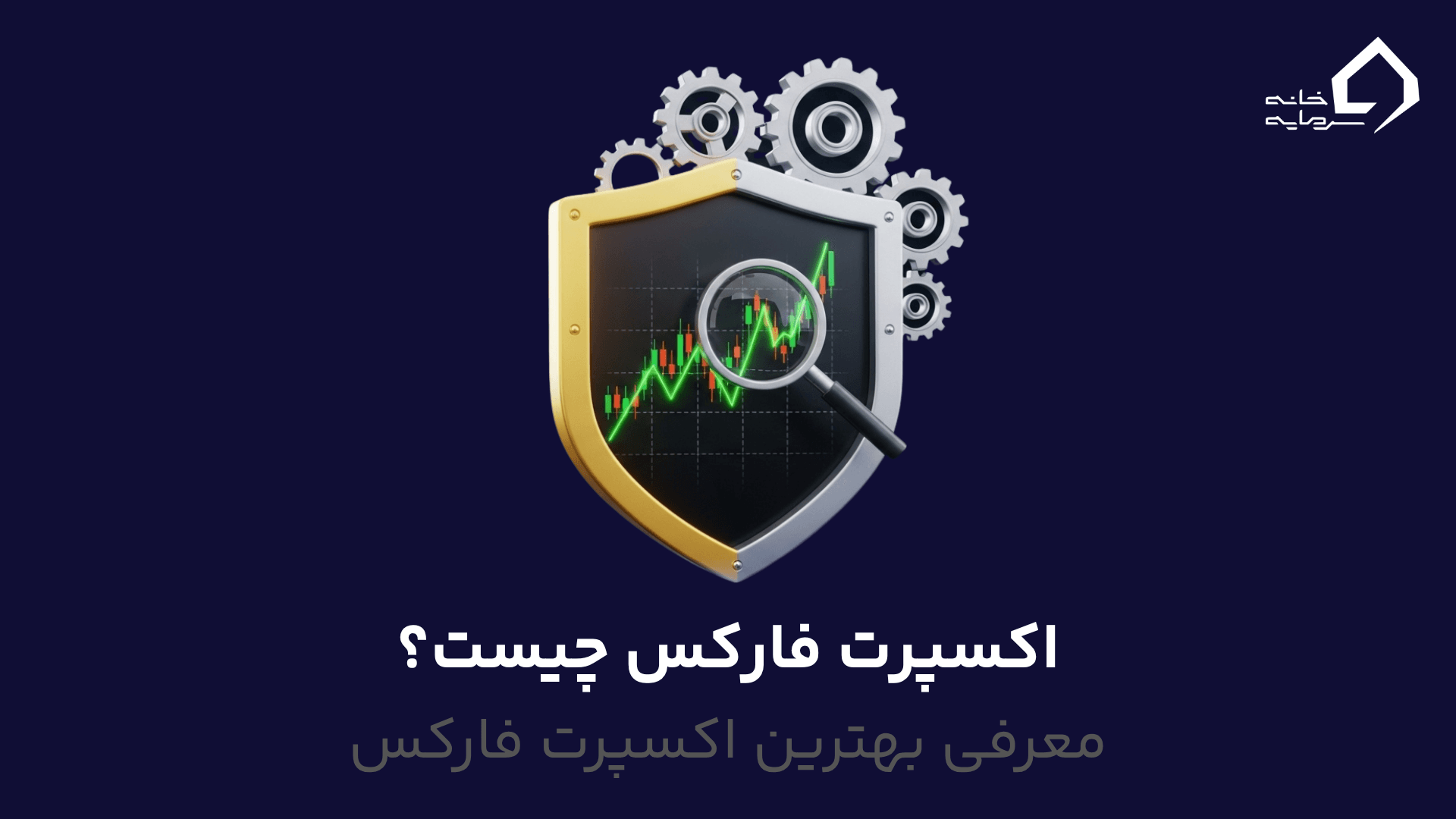 اکسپرت فارکس چیست