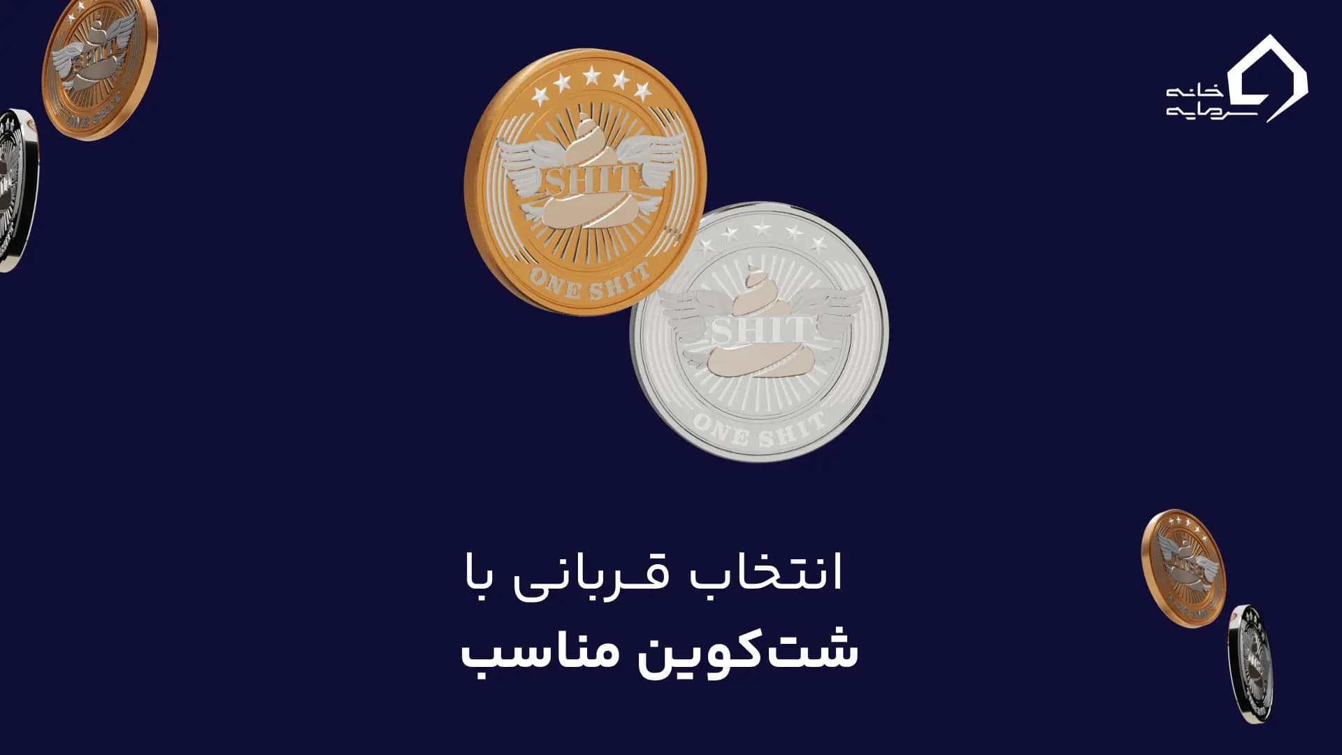 شت کوین برای پاپ و دامپ