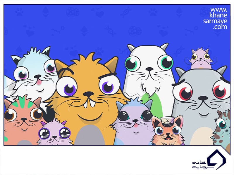 معرفی و آموزش بازی کریپتوکیتیز (cryptokitties)