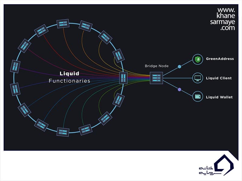 شبکه Liquid