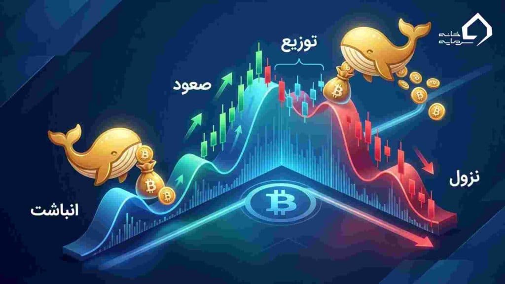 فاز انباشت در چرخه بازار کجا قرار دارد