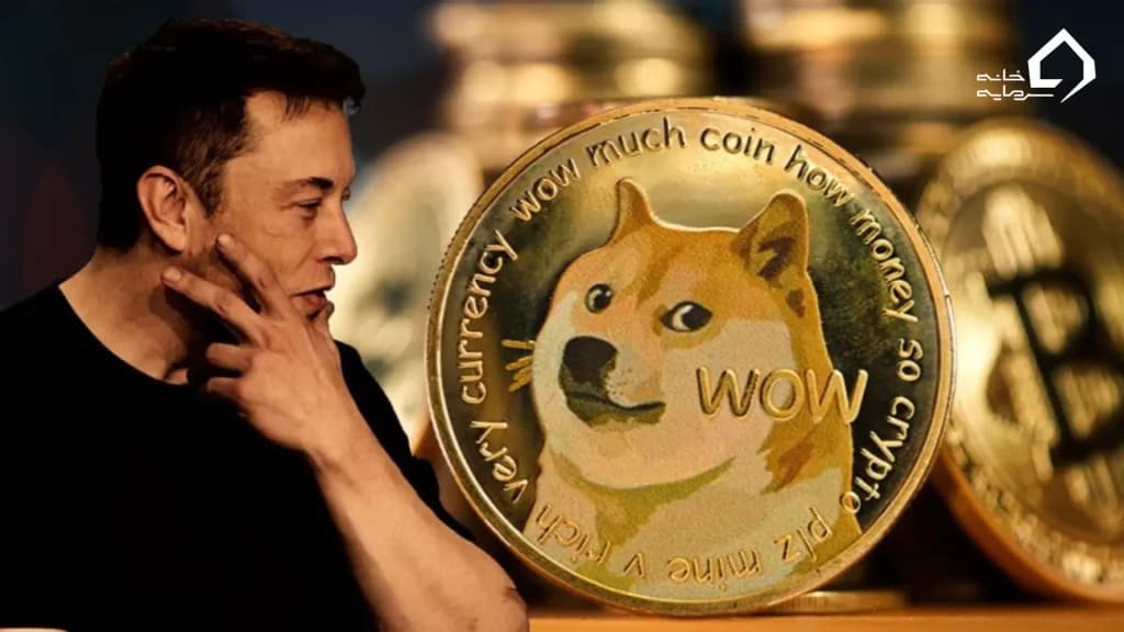 دوج کوین؛ ارز محبوب ماسک