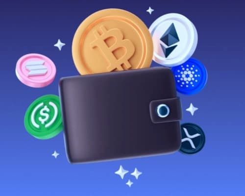 انواع کیف پول ارز دیجیتال چیست