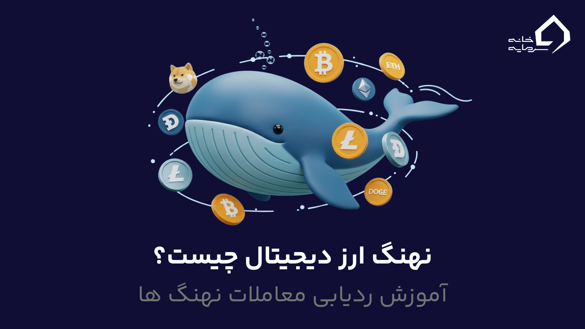 نهنگ ارز دیجیتال چیست