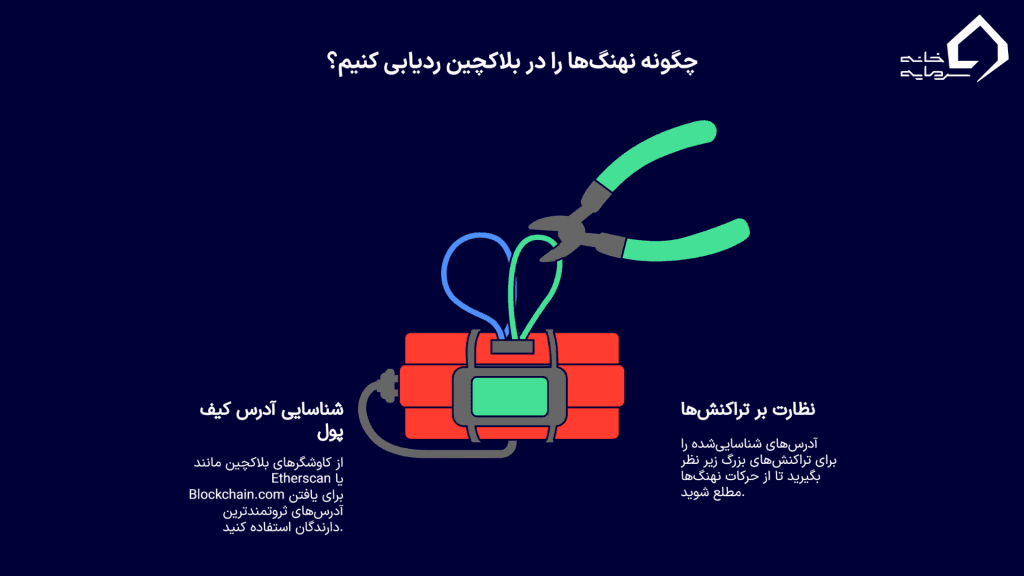چگونه نهنگ‌ها را ردیابی کنیم