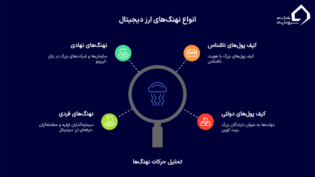 انواع نهنگ‌های ارز دیجیتال