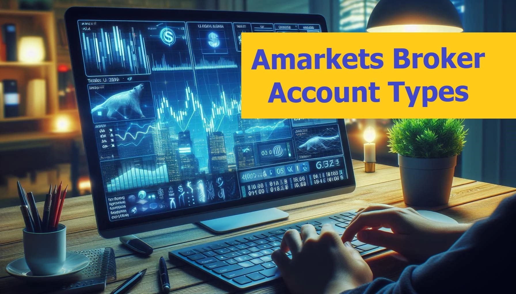 انواع حساب آمارکتس | راهنمای انتخاب حساب بروکر AMarkets