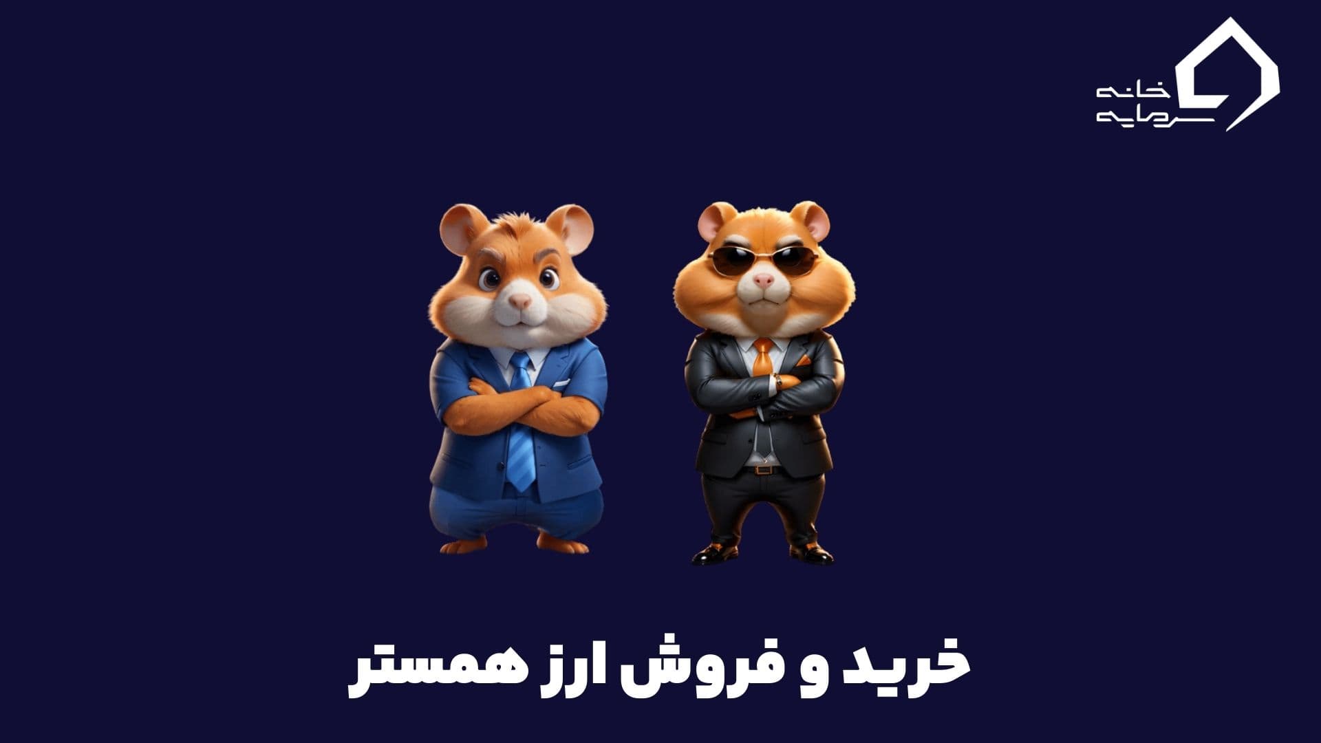 خرید و فروش ارز همستر در صرافی ایرانی و تبدیل توکن‌ به تومان