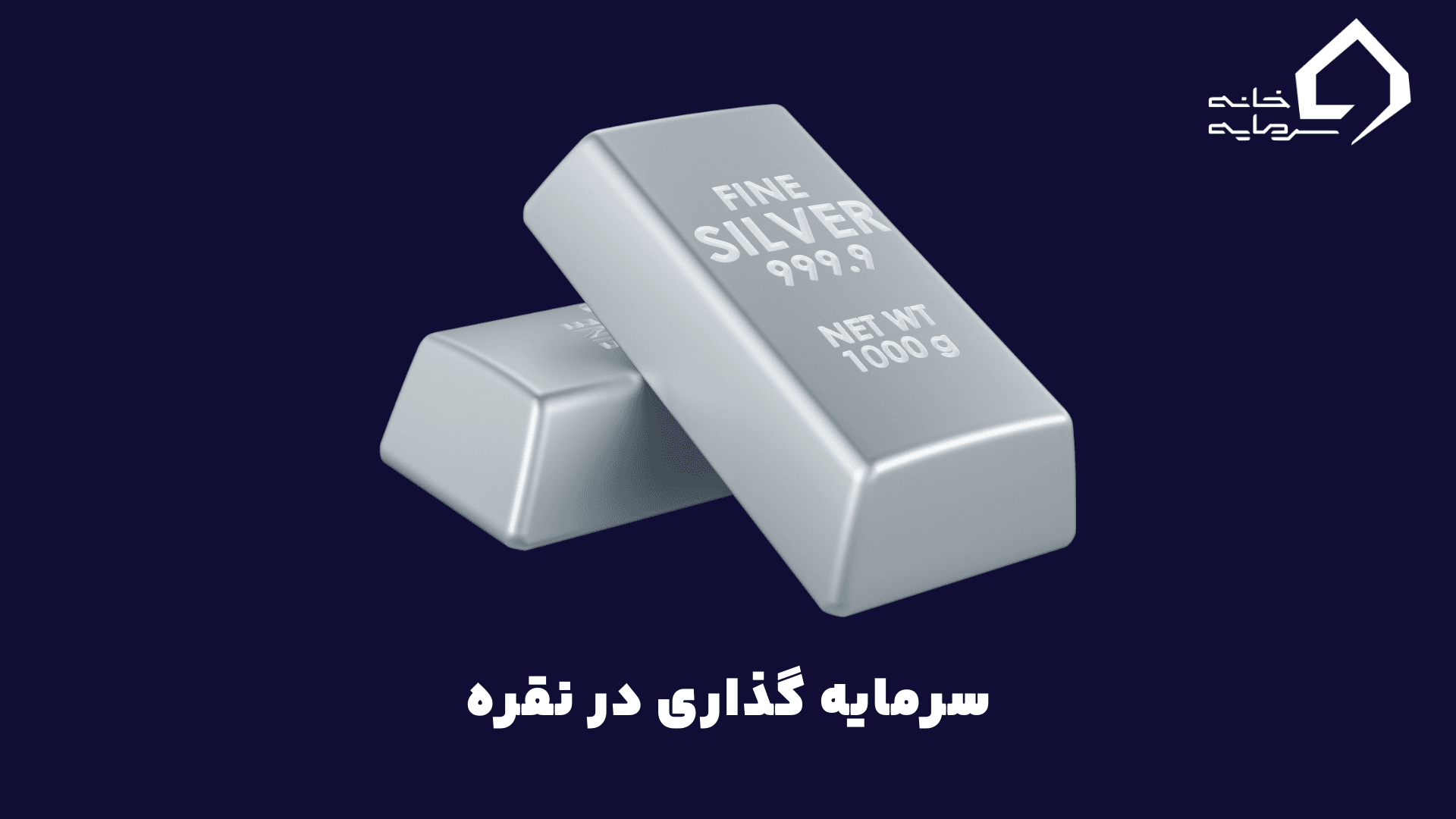 راهنمای جامع سرمایه‌ گذاری در نقره و سایر فلزات : از نقره تا پلاتین