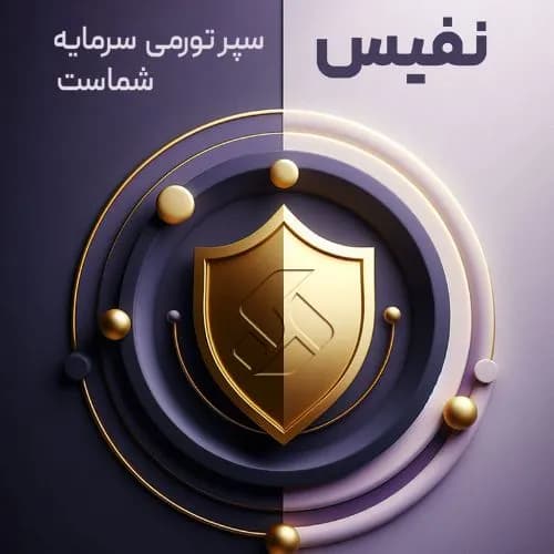 صندوق طلا نفیس