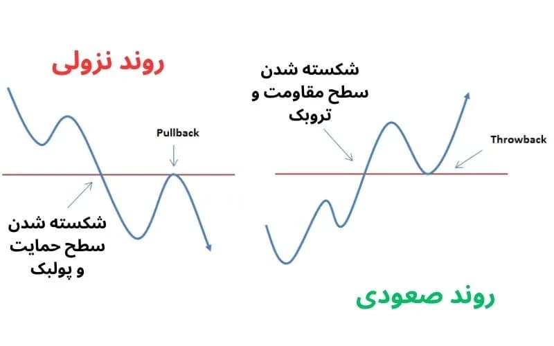 پولبک و تروبک