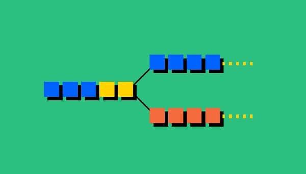 فورک چیست؟