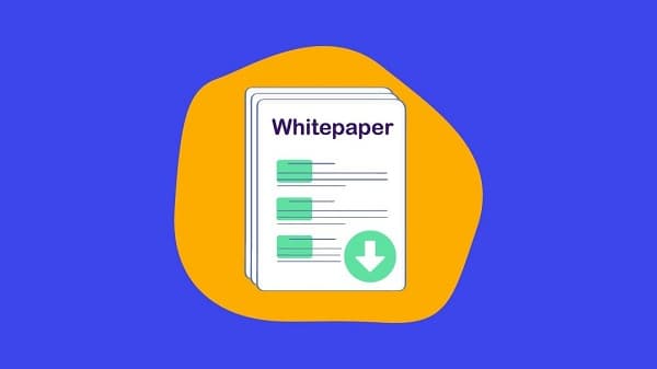 وایت پیپر جیست؟