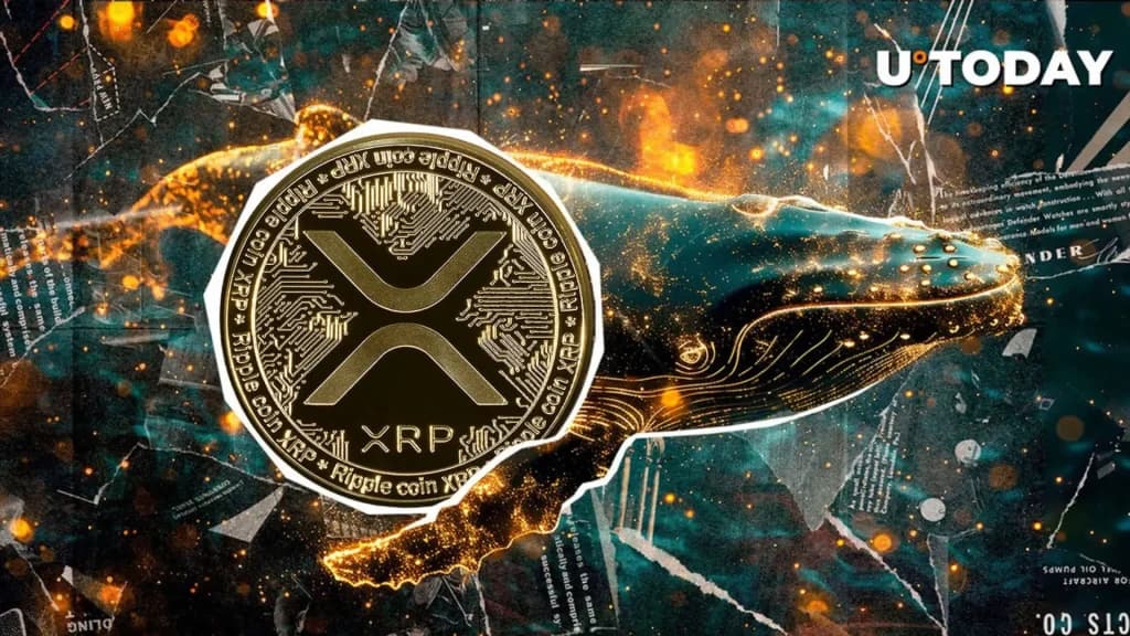 انتقال بزرگ ریپل در کوین بیس