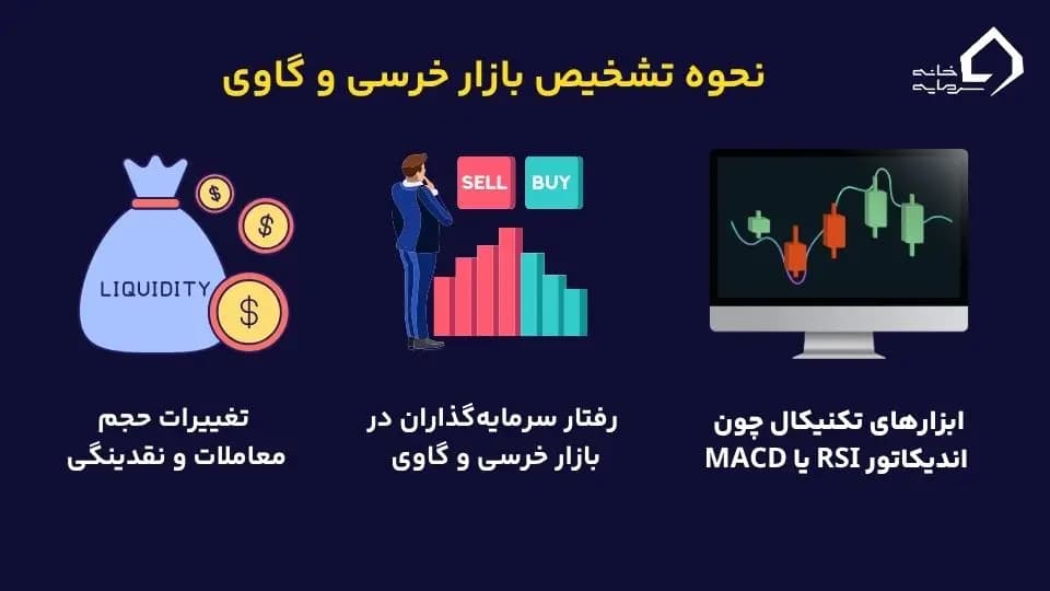 تشخیص بازار خرسی و گاوی 