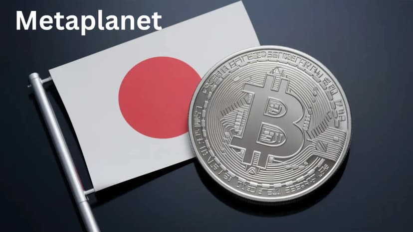 متاپلنت ۷۸۰ بیت‌کوین دیگر خرید