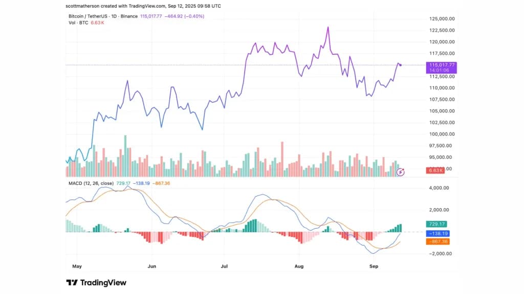 بیت‌کوین در نمودار روزانه (1D) با قیمت ۱۱۵,۰۱۷ دلار معامله می‌شود | منبع: BTCUSDT در TradingView.com