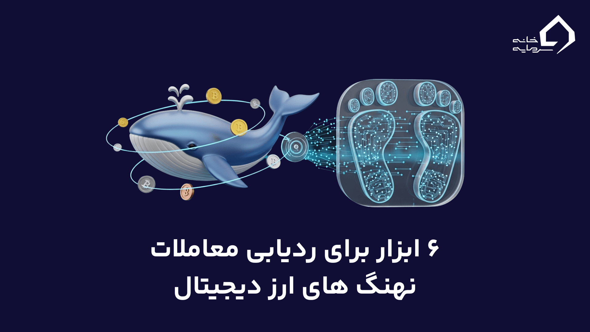 ردیابی معاملات نهنگ های ارز دیجیتال