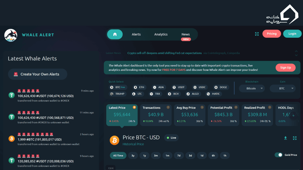 Whale Alert سایت هشدار تراکنش‌های بزرگ