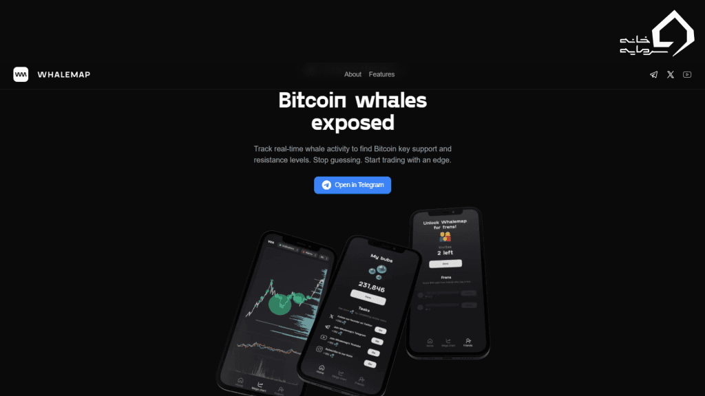 Whalemap سایت تحلیل بصری حرکات نهنگ‌ها