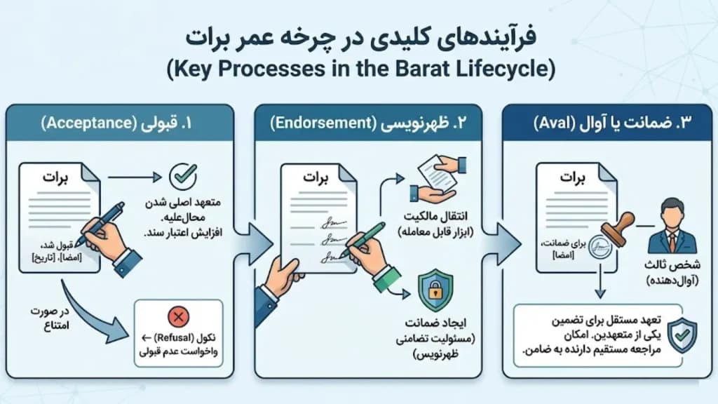 فرآیندهای کلیدی در چرخه عمر برات
