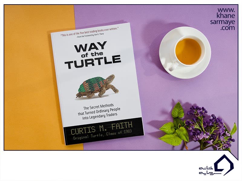 راه لاک پشتی راه لاک پشتی