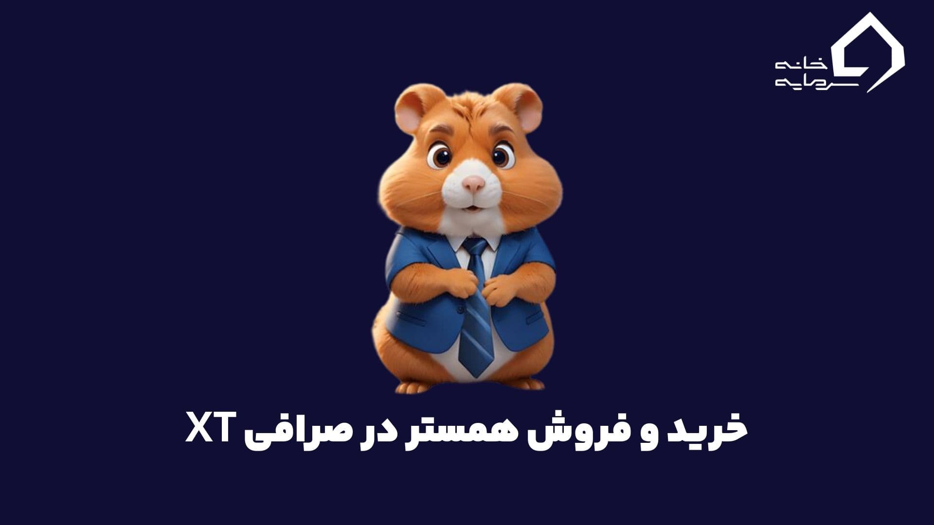 buy and sell hmstr in xt exchange index آموزش کامل خرید و فروش همستر (HMSTR) در صرافی XT ایکس تی